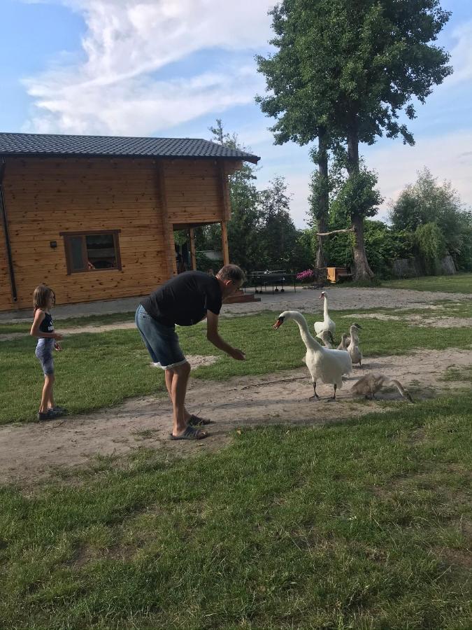Берег Світязя Svityaz' Luaran gambar